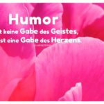 Blütenblätter mit Börne Zitate Bilder: Humor ist keine Gabe des Geistes, er ist eine Gabe des Herzens. Ludwig Börne
