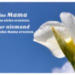 Blütenkelche vor blauem Himmel mit dem Muttertagsspruch mit Bild: Eine Mama kann vieles ersetzen. Aber niemand kann eine Mama ersetzen.