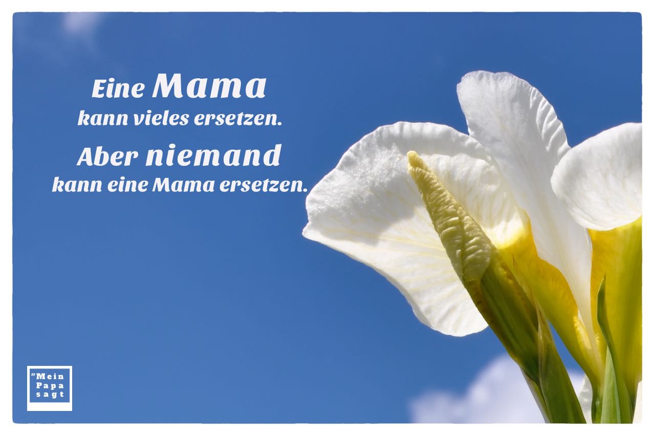 Blütenkelche vor blauem Himmel mit dem Muttertagsspruch mit Bild: Eine Mama kann vieles ersetzen. Aber niemand kann eine Mama ersetzen.