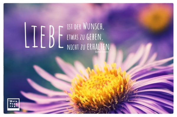 Liebe ist der Wunsch, etwas zu geben, nicht zu erhalten Bertolt Brecht
