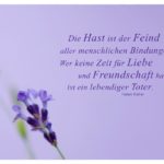 Lavendel mit Keller Zitate mit Bild: Die Hast ist der Feind aller menschlichen Bindungen. Wer keine Zeit für Liebe und Freundschaft hat, ist ein lebendiger Toter. Helen Keller