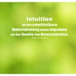 Wald unscharf mit van Osten Zitate mit Bild: Intuition ist die unmittelbare Wahrnehmung eines Impulses an der Quelle des Bewusstseins. René van Osten