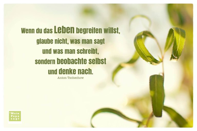 Wenn du das Leben begreifen willst, glaube nicht, was man sagt und was...
