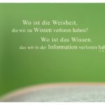 Buch mit Eliot Zitate mit Bild: Wo ist die Weisheit, die wir im Wissen verloren haben? Wo ist das Wissen, das wir in der Information verloren haben? T. S. Eliot