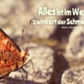 Beitragsbild - Alles ist im Werden, zwinkert der Schmetterling