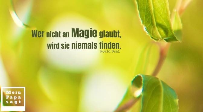 Wer nicht an Magie glaubt, wird sie niemals finden – Roald Dahl