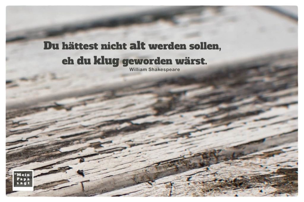 Hättest Du Geschwiegen Wärst Du Ein Philosoph Geblieben meinpapasagt.de