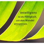 Fensterblatt mit Hawking Zitate mit Bild: Intelligenz ist die Fähigkeit, sich dem Wandel anzupassen. Stephen Hawking