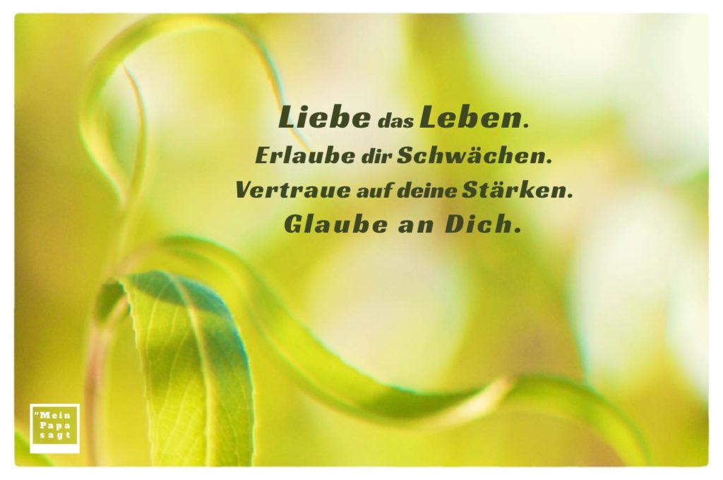 Liebe das Leben. Erlaube dir Schwächen. Vertraue auf deine Stärken. Gl...