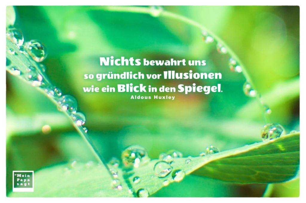Zitate & Sprüche Bilder Galerie des Monats August 2020