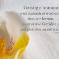 Beitragsbild - Geistige Immunität wird dadurch erworben, dass wir lernen, destruktive Gefühle zu vermeiden und positive zu entwickeln