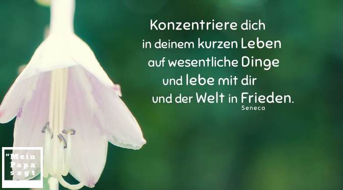 Thema Frieden Zitate und Weisheiten mit Bild
