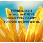Sonnenblume mit Fock Zitate Bilder: Fröhlichkeit ist nicht die Flucht vor der Traurigkeit, sondern der Sieg über sie. Gorch Fock