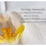 Orchidee mit Dalai Lama Zitate mit Bild: Geistige Immunität wird dadurch erworben, dass wir lernen, destruktive Gefühle zu vermeiden und positive zu entwickeln. Dalai Lama