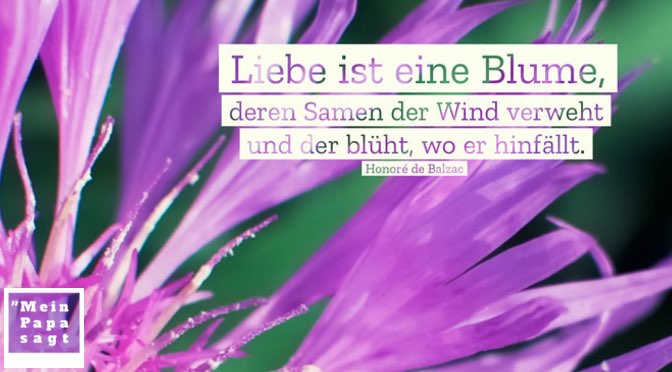 Liebe ist eine Blume, deren Samen der Wind verweht und der blüht, wo er..