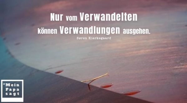 Thema Wandel Zitate und Weisheiten mit Bild