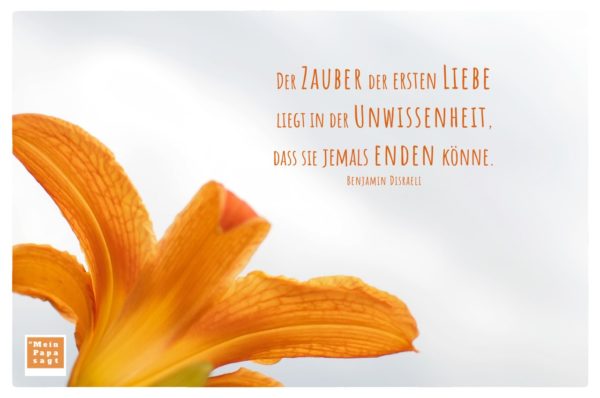 Der Zauber der ersten Liebe liegt in der Unwissenheit, dass sie jemals