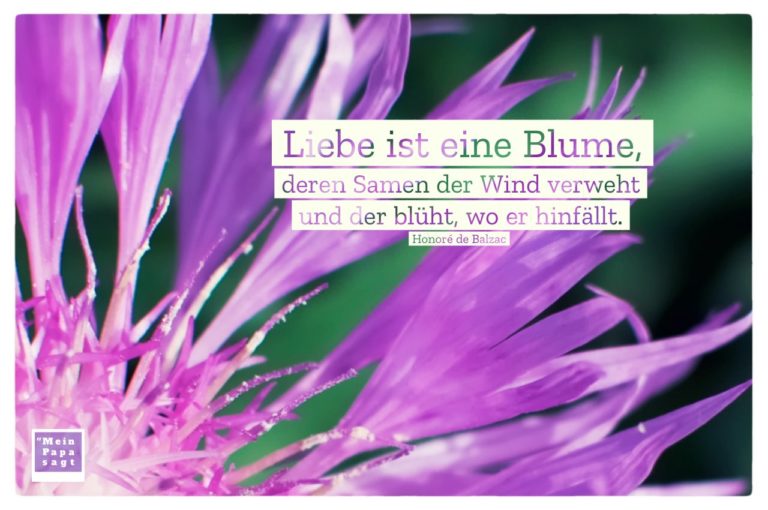Liebe ist eine Blume, deren Samen der Wind verweht und der blüht, wo er..