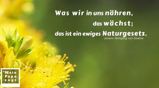 Was wir in uns nähren, das wächst; das ist ein ewiges Naturgesetz – Johann Wolfgang von Goethe