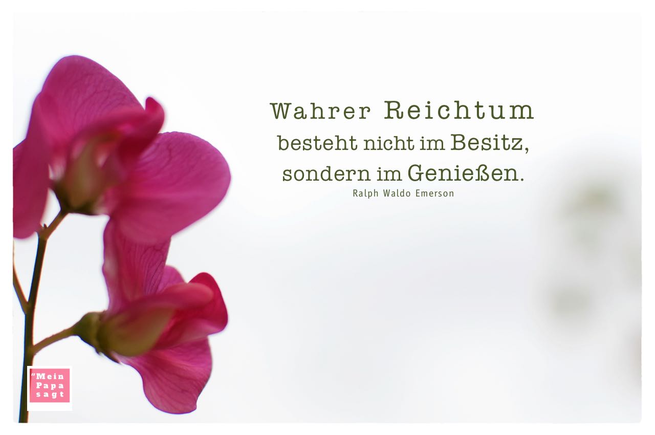 Blüten mit Emerson Zitate Bilder: Wahrer Reichtum besteht nicht im Besitz, sondern im Genießen. Ralph Waldo Emerson