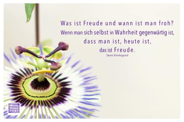 Was ist Freude und wann ist man froh? Wenn man sich selbst ...