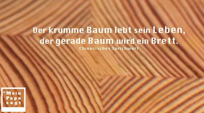 Der Krumme Baum Lebt Sein Leben