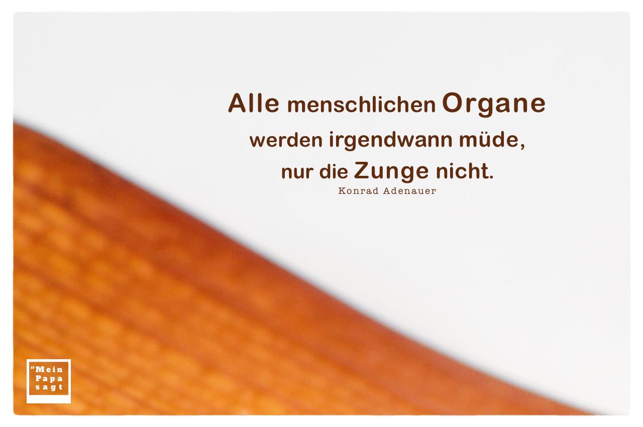 getrocknetes Palmenblatt mit Adenauer Zitate Bilder: Alle menschlichen Organe werden irgendwann müde, nur die Zunge nicht. Konrad Adenauer