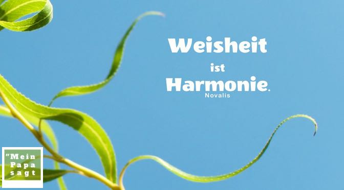 Mein Papa sagt Weisheit ist Harmonie Novalis Zitate Bilder