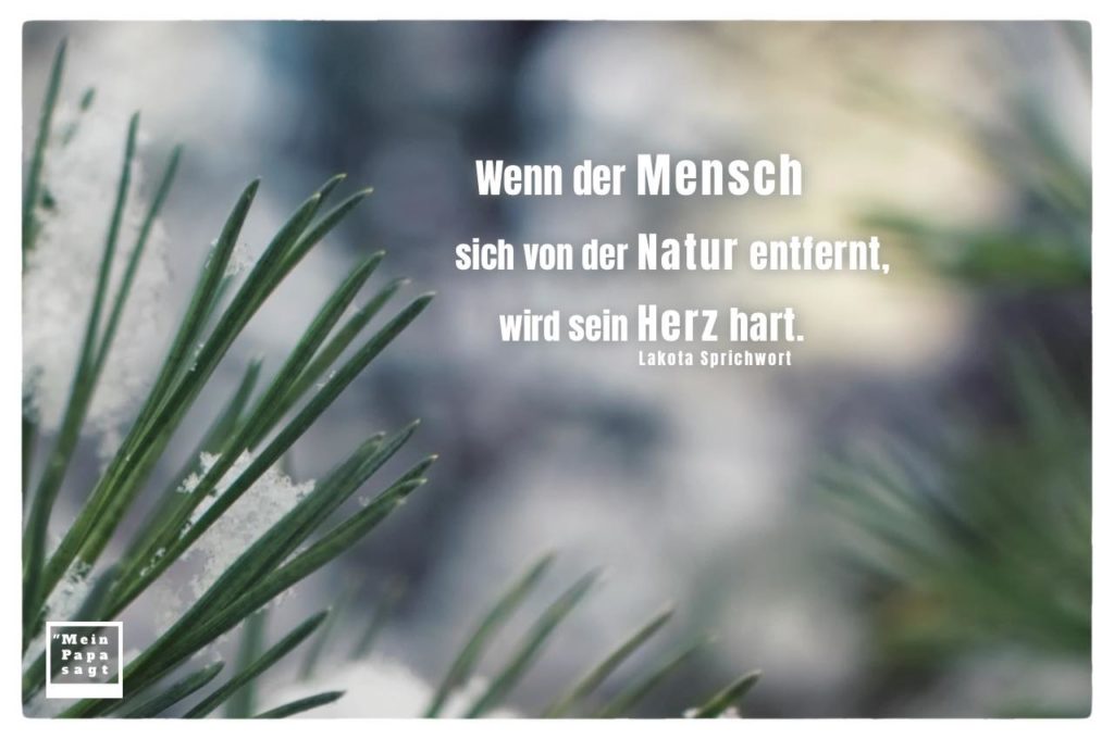 31+ Weisheiten natur sprueche , Wenn der Mensch sich von der Natur entfernt, wird sein Herz hart Lakota