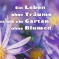 Beitragsbild - Ein Leben ohne Träume ist wie ein Garten ohne Blumen