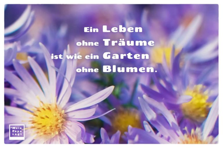 Mein Papa sagt Ein Leben ohne Träume ist wie ein Garten ohne Blumen