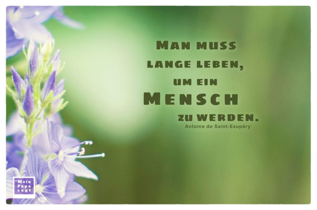 Man muss lange leben, um ein Mensch zu werden A. de SaintExupéry